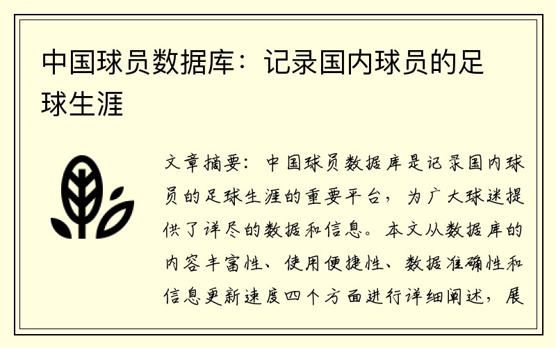中国球员数据库：记录国内球员的足球生涯
